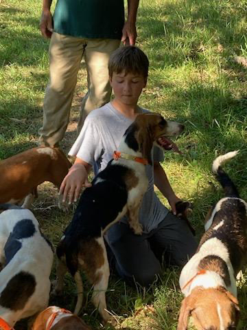 Knoxville Orthodontics