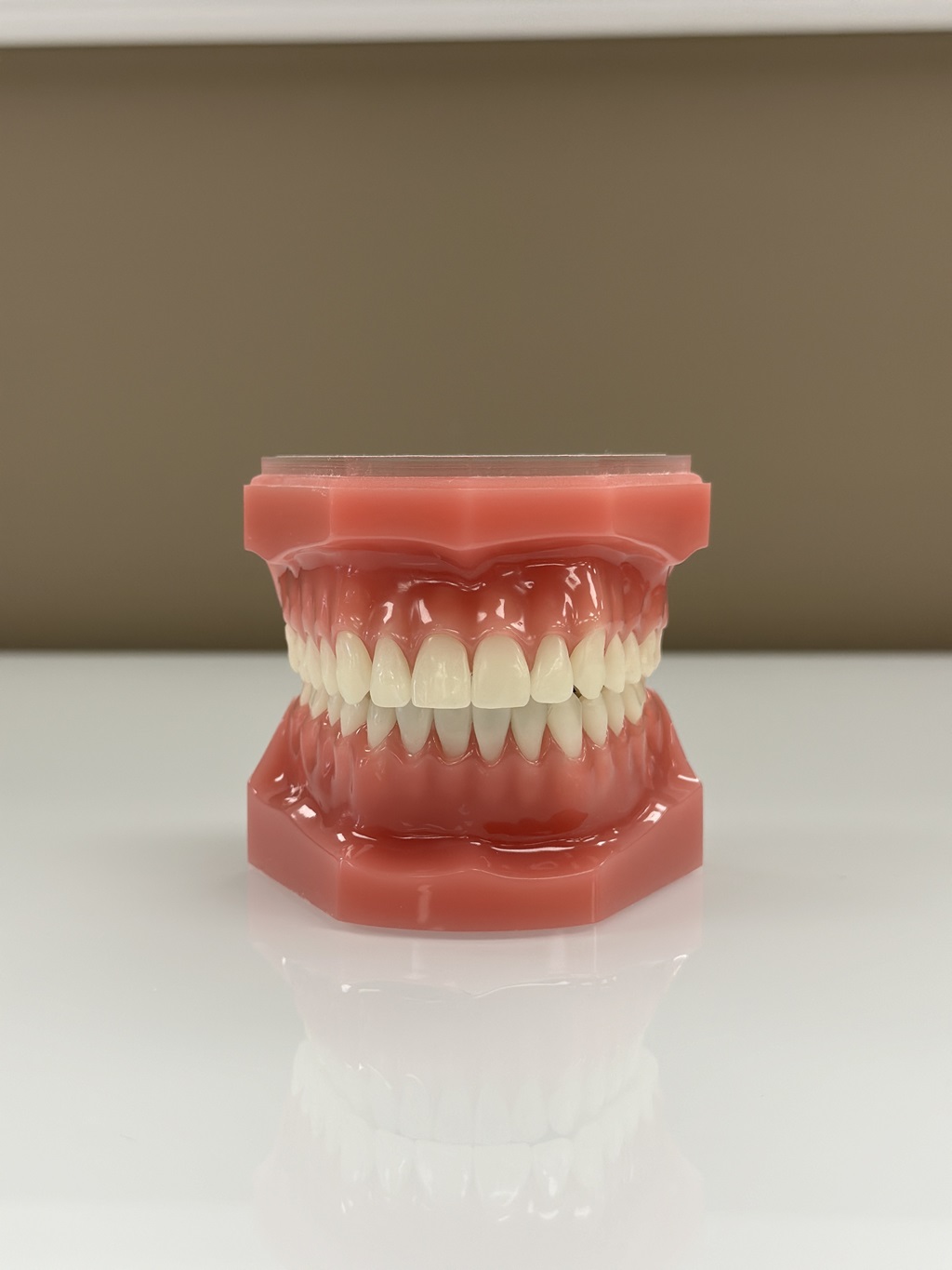 Knoxville Orthodontics